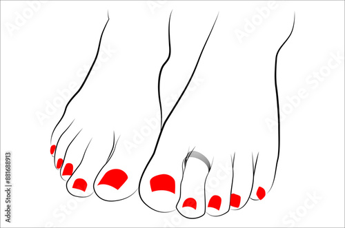 Beautiful Indian woman feet with toe ring and red nails line drawing isolated on white background - vector illustration