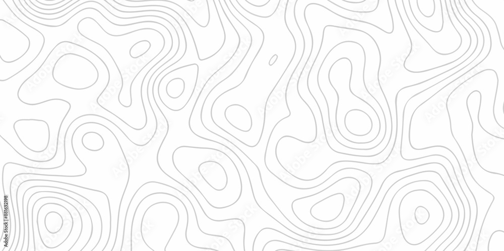 The stylize topography landscape grid map and counter wave line geometric wire outline area design. nature strip diagram topographic creative concept discovery line map texture background.