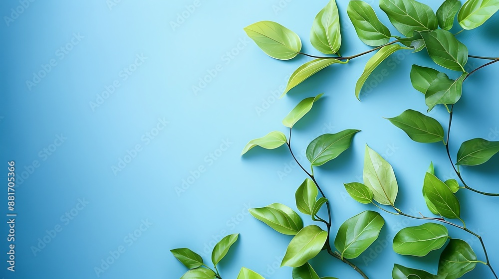 Green Leaves on a Blue Background Green Leaves on a Blue Background
