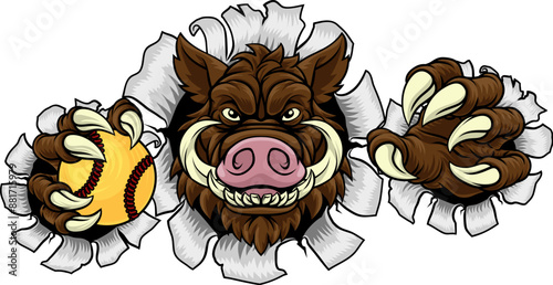 A wild boar, hog razorback warthog pig mean tough cartoon sports mascot holding a softball ball