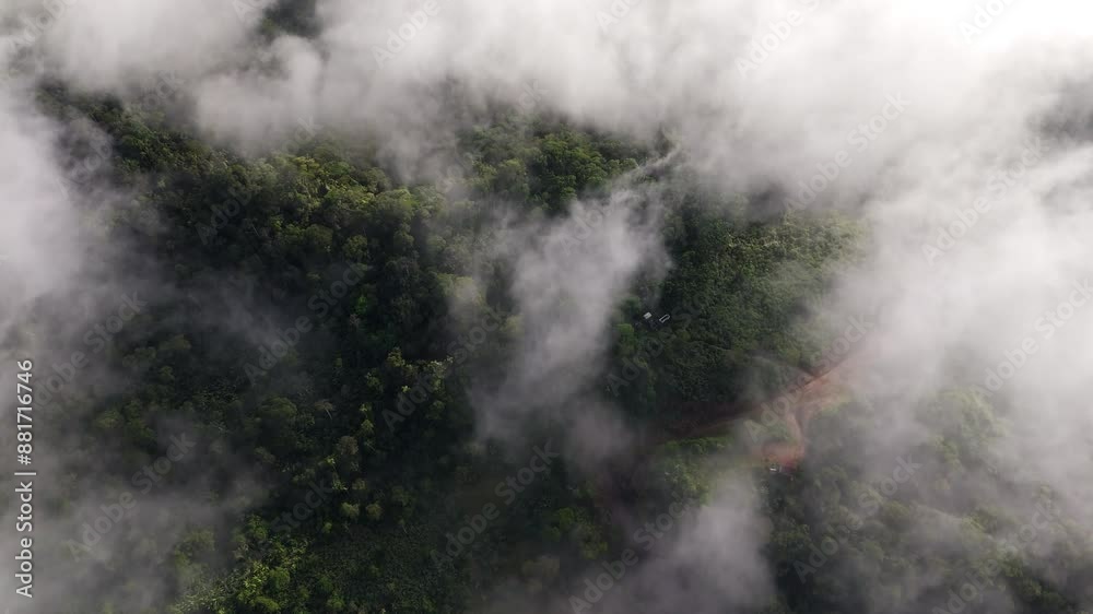 Beautiful clouds over the rainforest in Ecuador, aerial view Beautiful clouds over the rainforest in Ecuador, aerial view
