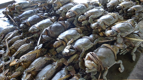 Canvastavla Fresh Seafood Market in Papua New Guinea