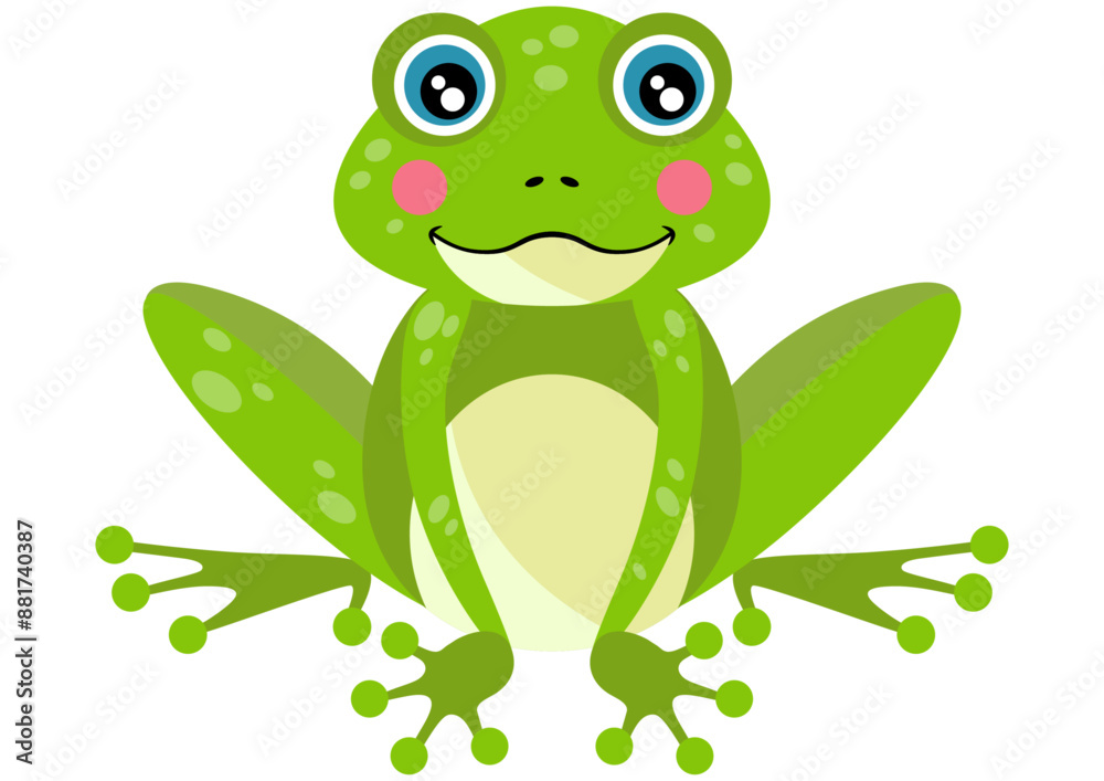 Fototapeta premium Cute green frog isolated on white