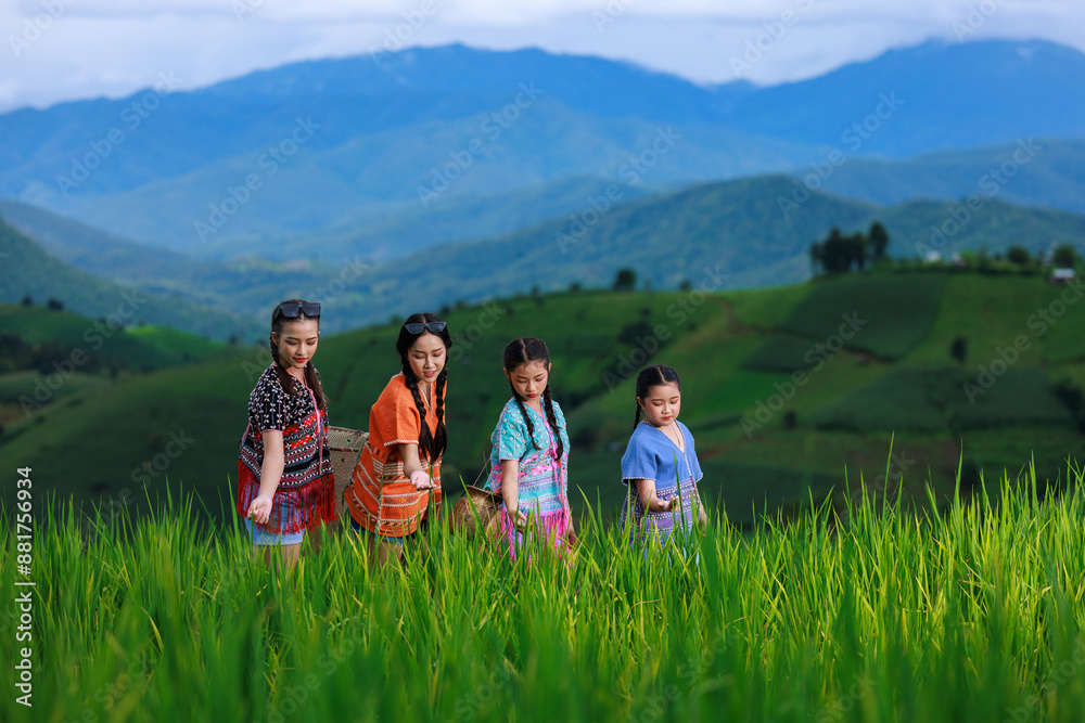 asian people woman traveling tourist at green rice terrace of Ban pa bong piang at morning fog in Chiangmai, Thailand. asian people woman traveling tourist at green rice terrace of Ban pa bong piang at morning fog in Chiangmai, Thailand.