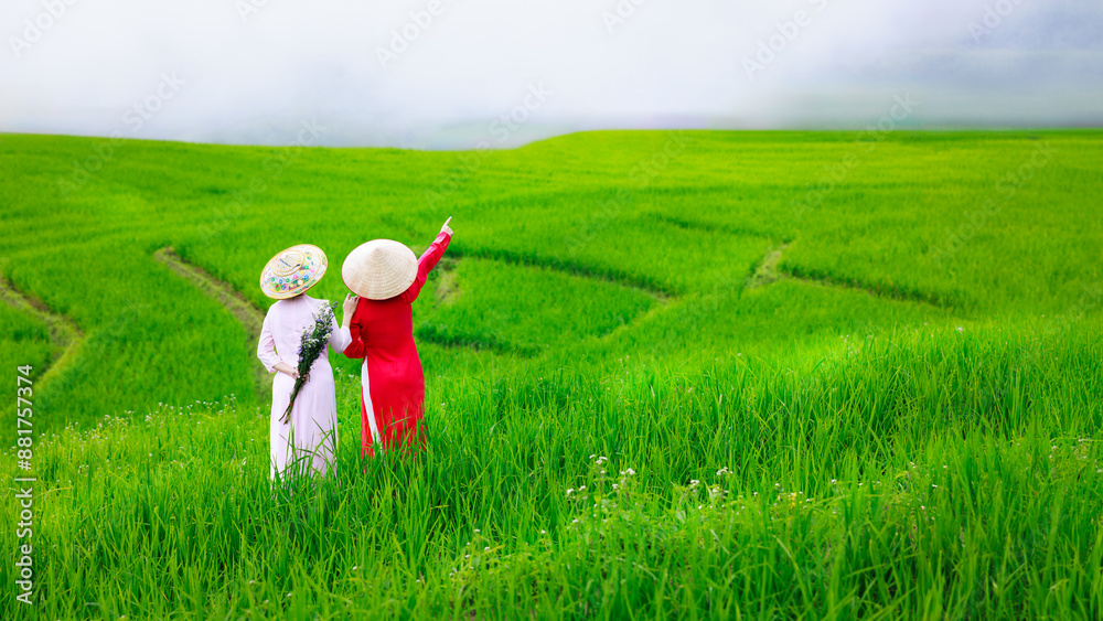 asian girl wearing vietnam dress standing on rice field at ban pa bong piang asian girl wearing vietnam dress standing on rice field at ban pa bong piang