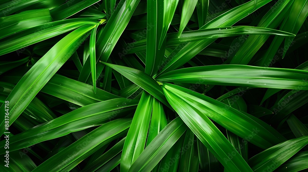 Fragrant pandanus leaves Can be mixed with food : Generative AI Fragrant pandanus leaves Can be mixed with food : Generative AI