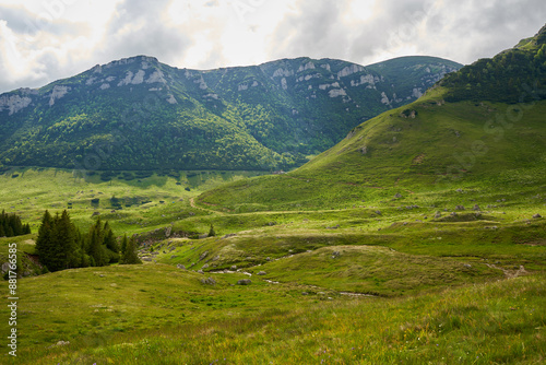 Wallpaper Mural Summer alpine landscape Torontodigital.ca