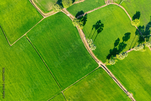 Aerial view of lush green rice field with small winding canal. Sustainable agriculture landscape. Sustainable rice farming. Rice cultivation. Green landscape. Organic farming. Sustainable land use. photo