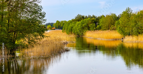Fototapeta Naklejka Na Ścianę i Meble -  Summer deeds and bushy shores of Elk river at Jezioro Elckie Lake in Barany neighborhood of Elk town in Mazuria lakeland region of Poland