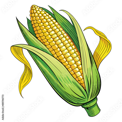 Hand drawn corn on the cob drawing Vector illustration