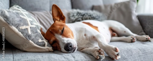 A dog is sleeping on a couch with a pillow.