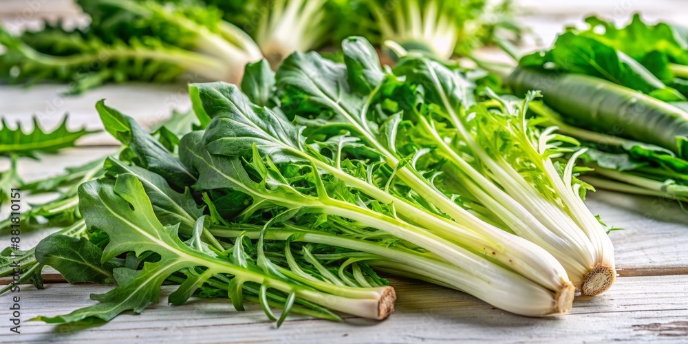 Vibrant fresh chicory greens with curly leaves are artfully arranged on a clean white table, awaiting culinary transformation into a delicious salad or side dish. Vibrant fresh chicory greens with curly leaves are artfully arranged on a clean white table, awaiting culinary transformation into a delicious salad or side dish.