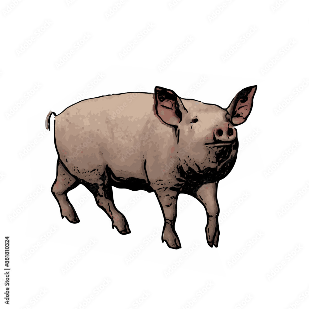 Piggy vector ilustration design template Piggy vector ilustration design template