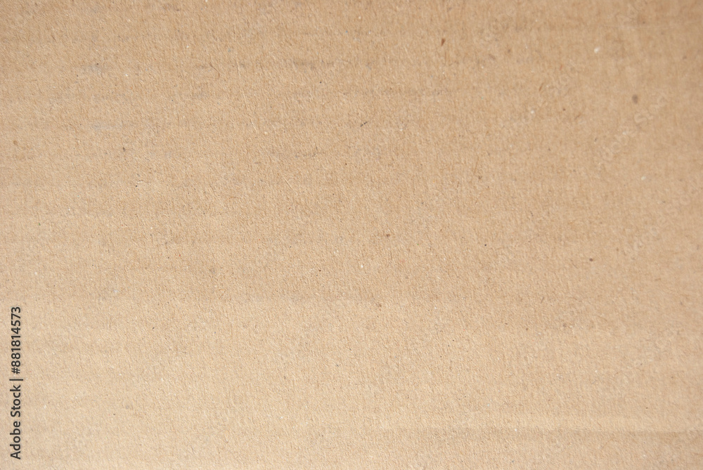 Fototapeta premium Kraft paper background. Carton package texture. Packaging surface.