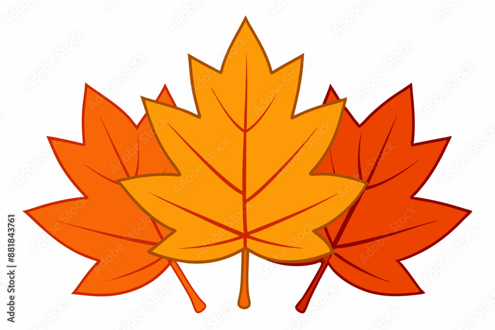 Elegant vector art illustration design of autumn maple leaves in vibrant fall colors Elegant vector art illustration design of autumn maple leaves in vibrant fall colors