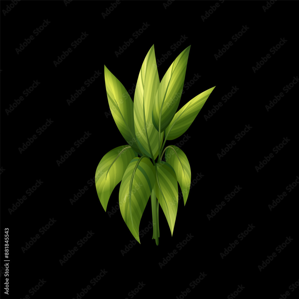 new Tree Vector , icon new Tree Vector , icon