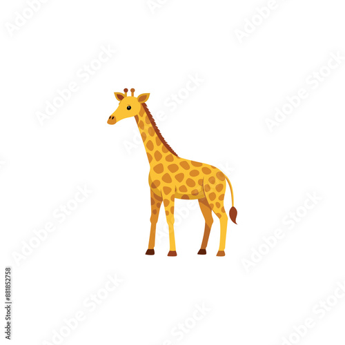 giraffe isolated on white