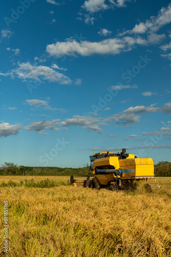 Combine harvester moving through a large farm field, leaving behind rows of cut stalks, portraying modern agriculture and machine efficiency during the harvest season, Panama - stock photo