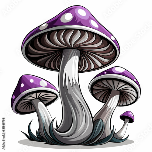 mushrooms on a white background vector  color art design