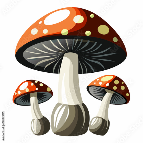 colorful mushrooms on a white background