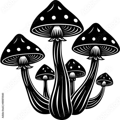 mushrooms on a white background vector design