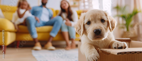 Cute golden retriever puppy rests on a cardboard box with family members blurred in the background, evoking a sense of home and new beginnings. photo