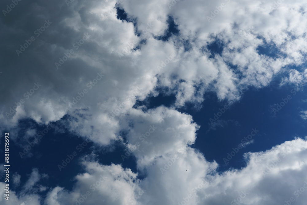 Obraz premium sky is overhead . white cumulus clouds floating across the sky, daytime sky, screensaver sky, background