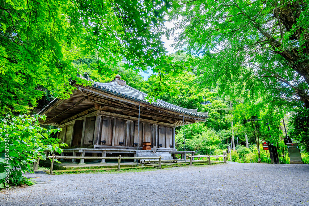 夏の富貴寺 大分県豊後高田市 Fukiji temple in summer. Oita Pref, Bungoono City. 夏の富貴寺 大分県豊後高田市 Fukiji temple in summer. Oita Pref, Bungoono City.