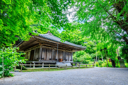 夏の富貴寺　大分県豊後高田市　Fukiji temple in summer. Oita Pref, Bungoono City. photo