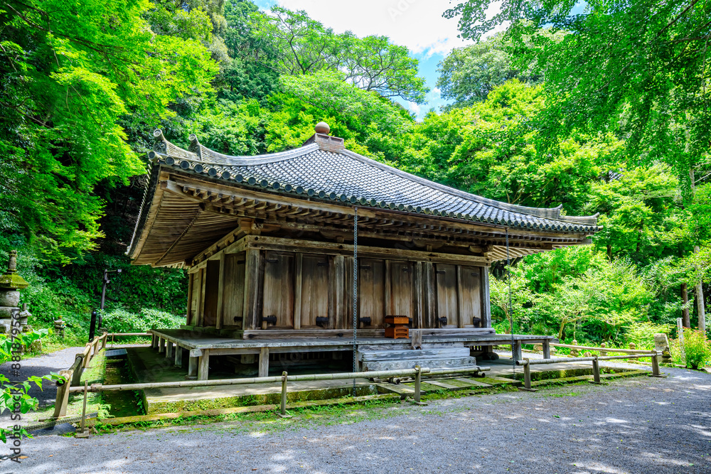 夏の富貴寺 大分県豊後高田市 Fukiji temple in summer. Oita Pref, Bungoono City. 夏の富貴寺 大分県豊後高田市 Fukiji temple in summer. Oita Pref, Bungoono City.