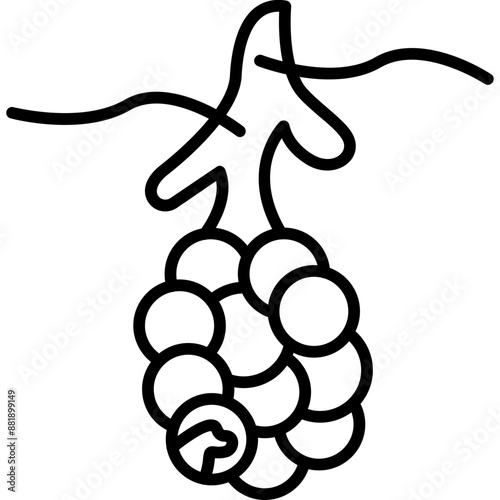 Alveoli Icon