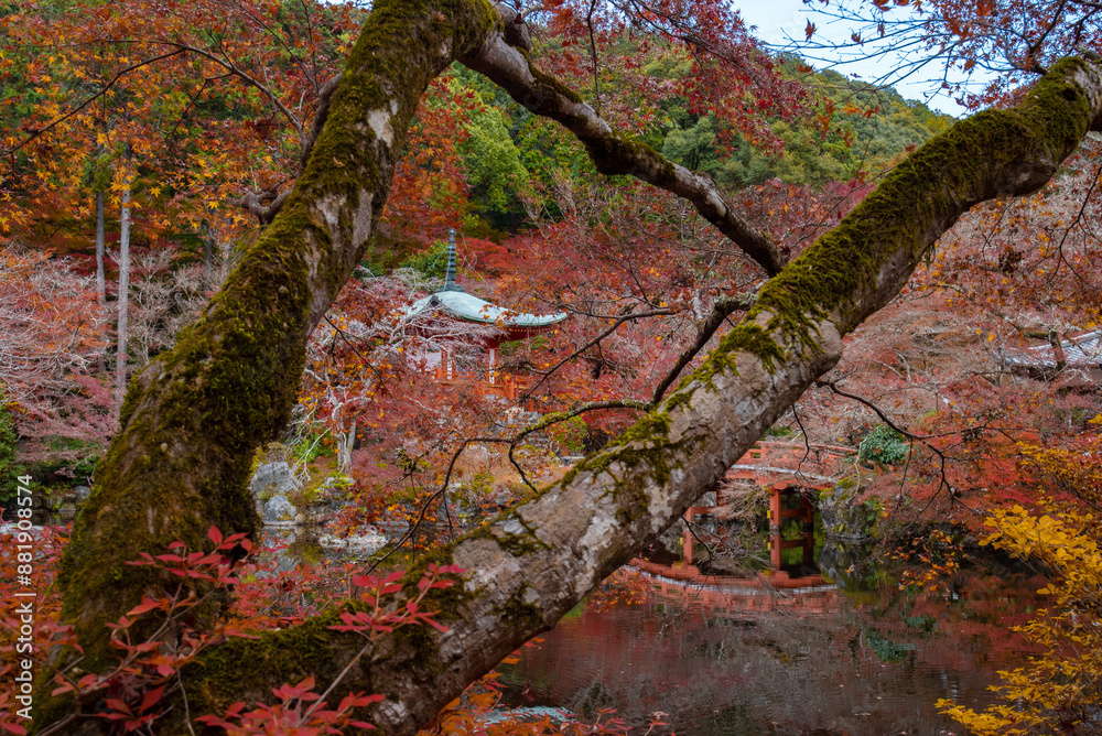 The most beautiful viewpoint of daigoji is a popular tourist destination in Kyoto, Japan. The most beautiful viewpoint of daigoji is a popular tourist destination in Kyoto, Japan.