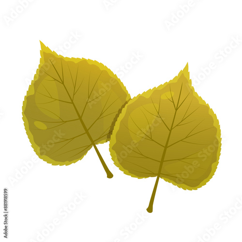 Vector cartoon linden leaves isolated on white background. 