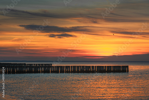 Obraz na płótnie View of sand beach with wooden breakwaters on the Baltic Sea coast on sunset in Zelenogradsk. Russia w salonie