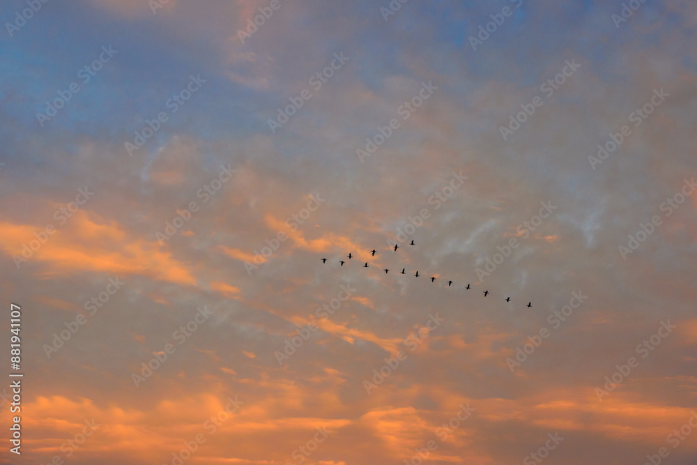 Sunrise sky on twilight in the evening
