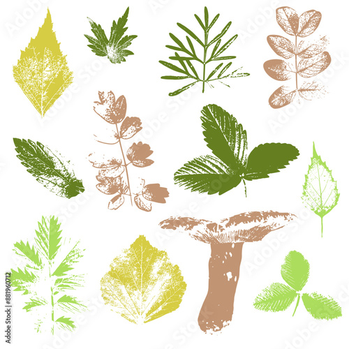 nature elements, autumn leaves set, leaves and mushroom silhouette
