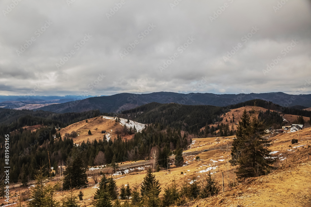 Fototapeta premium Landscapes - Forest - Europe, Romania, Suceava region