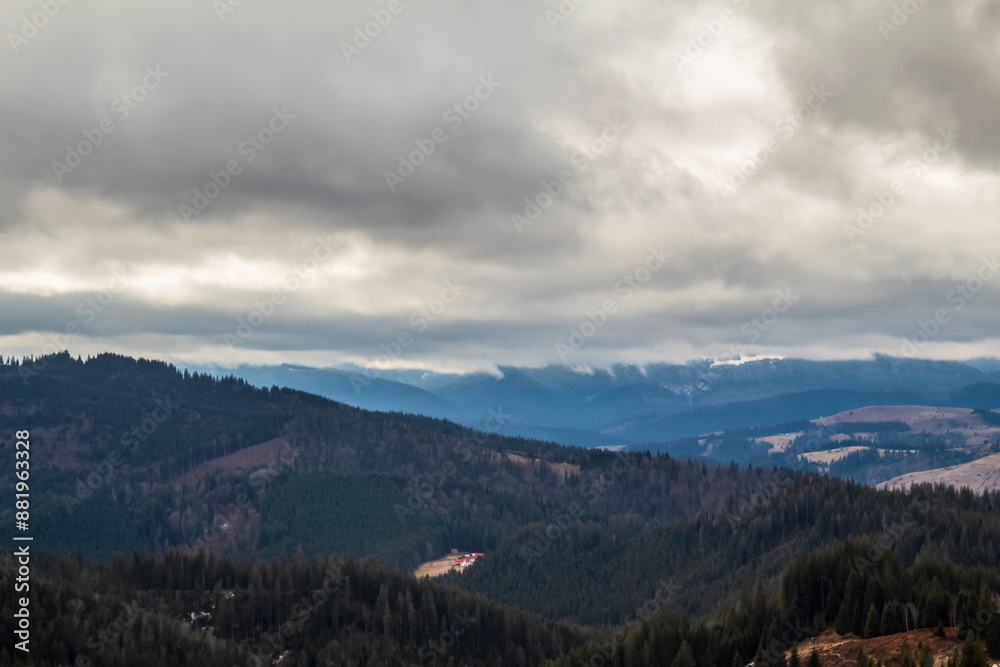 Landscapes - Forest - Europe, Romania, Suceava region Landscapes - Forest - Europe, Romania, Suceava region