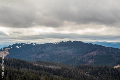 Landscapes -  Forest - Europe, Romania, Suceava region