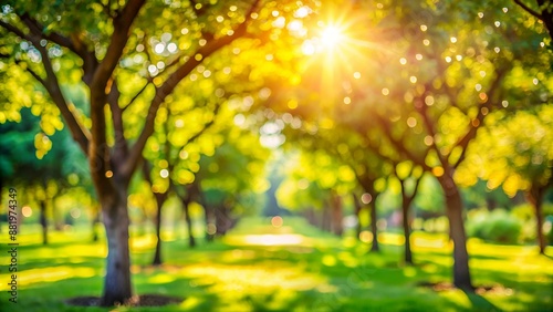 defocused bokeh background of garden trees in sunny day