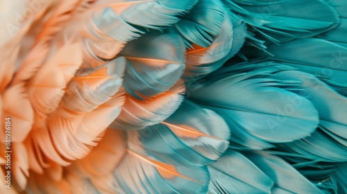Turquoise green and blue trend chicken feather texture background © ศิริชาติ ชุมพล