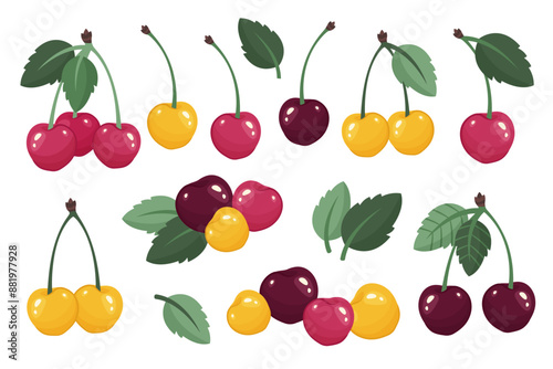 Set of Yellow and red cherries isolated. Fresh Cherry bunch. Fruits and berries design. Juices fruits with leaves close up. Berries icons. Delicious Organic food. Vector illustration