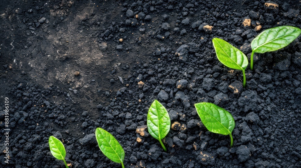 Overhead image of leadership growth and opportunity with Overhead image of leadership growth and opportunity with