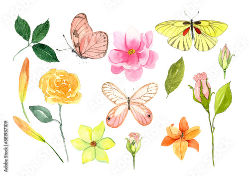 Fototapeta Naklejka Na Ścianę i Meble -  set of vintage watercolor elements keys ribbons flowers butterflies