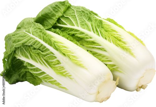 chinese cabbage,