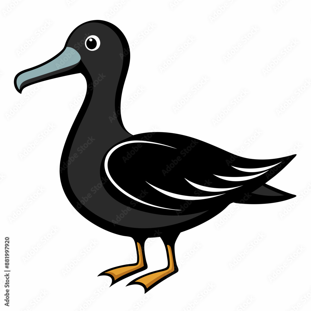 albatross birds albatross birds