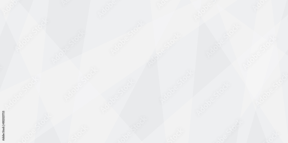 Abstract white and gray line background design. abstract white and grey on light silver background modern design. Low poly vector illustration. triangle pattern gradient background.
Abstract white and gray line background design. abstract white and grey on light silver background modern design. Low poly vector illustration. triangle pattern gradient background.