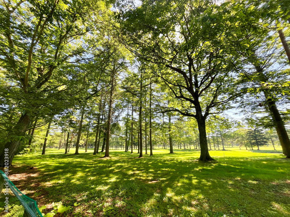 Naklejka premium 軽井沢のゴルフ場