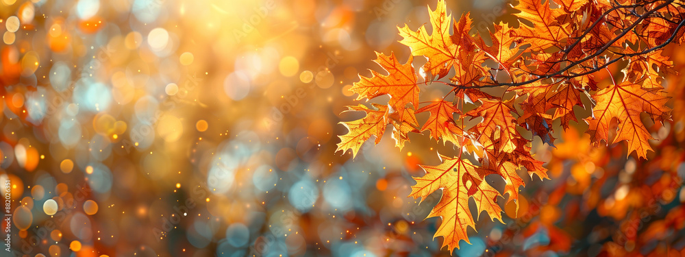 Autumn background with a closeup of orange and yellow maple leaves Autumn background with a closeup of orange and yellow maple leaves