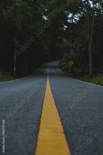 Road way to nature in national park, exploration, journey or adventure in rainforest, Asphalt road in natural area, environmental inspiration green background, concept of Earth day, travel destination